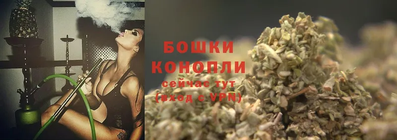 Марихуана SATIVA & INDICA  Гай 